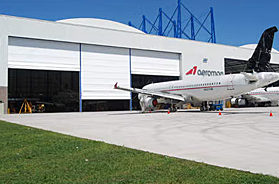 Mega Door on an Airplane Hanger