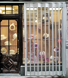 Security Grille on Storefront Door